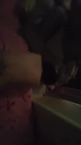 老公去接孩子半个小时，和同小区的少妇约炮