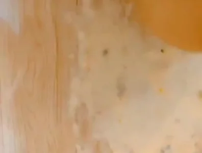 清明假期玩母狗畜牲